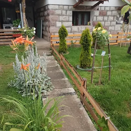 Bojana Guest house Inovo