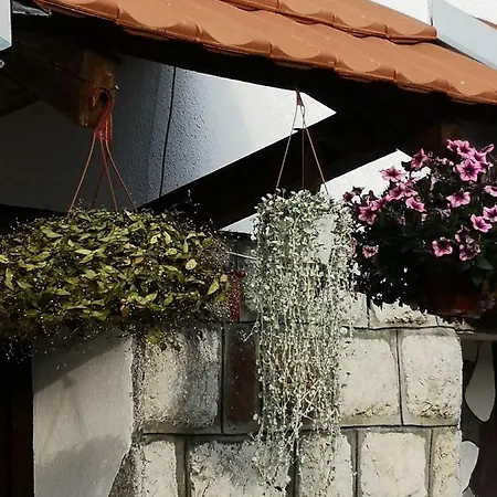 Bojana