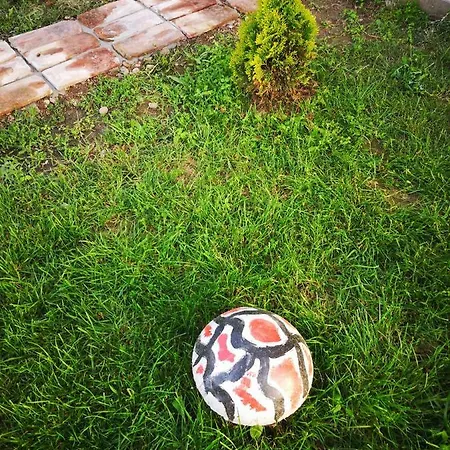 Bojana Guest house Inovo